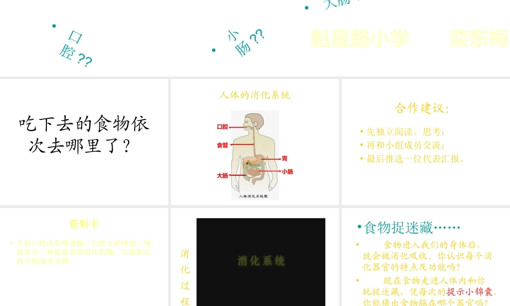 青岛小学科学五上《6 食物到哪里去了》PPT课件 (3)【虚拟宝库网www.xunibaoku.com】.ppt