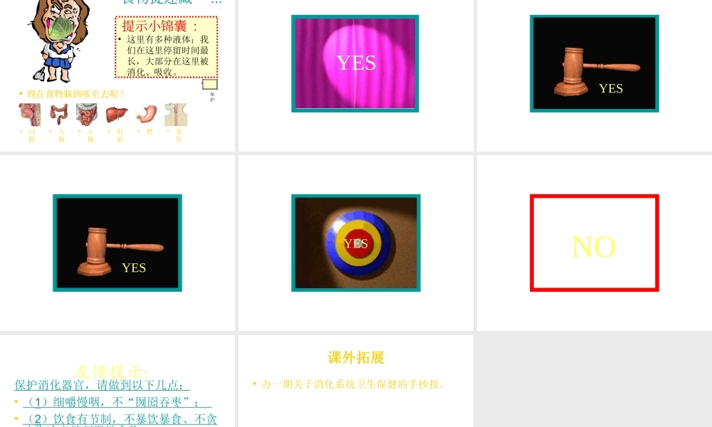 青岛小学科学五上《6 食物到哪里去了》PPT课件 (3)【虚拟宝库网www.xunibaoku.com】.ppt