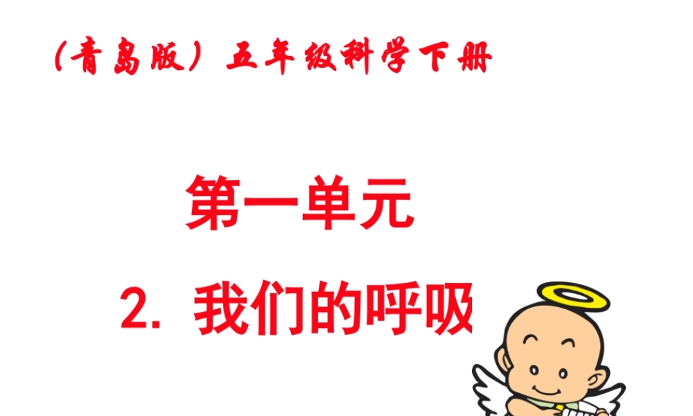 青岛小学科学五上《7 我们的呼吸》PPT课 件 (7) 【虚拟宝库网www.xunibaoku.com】.ppt