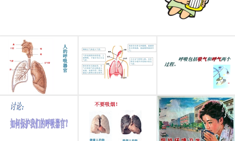 青岛小学科学五上《7 我们的呼吸》PPT课 件 (7) 【虚拟宝库网www.xunibaoku.com】.ppt