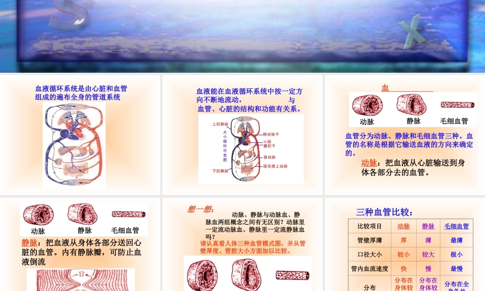 青岛小学科学五上《8 心脏和血管》PPT课件 (1) 【虚拟宝库网www.xunibaoku.com】.ppt