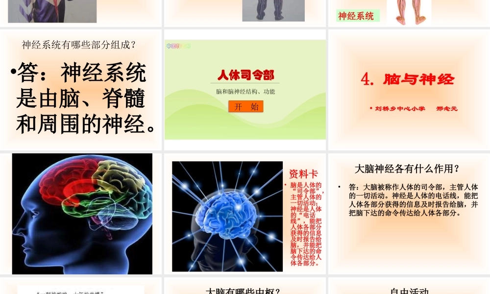 青岛小学科学五上《9 脑与神经》PPT课 件 (6) 【虚拟宝库网www.xunibaoku.com】.ppt