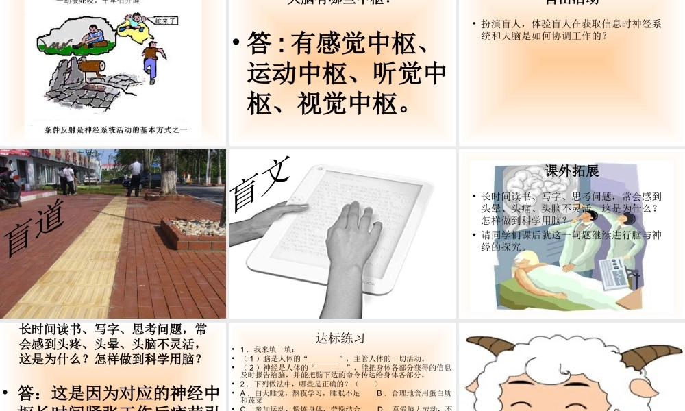 青岛小学科学五上《9 脑与神经》PPT课 件 (6) 【虚拟宝库网www.xunibaoku.com】.ppt
