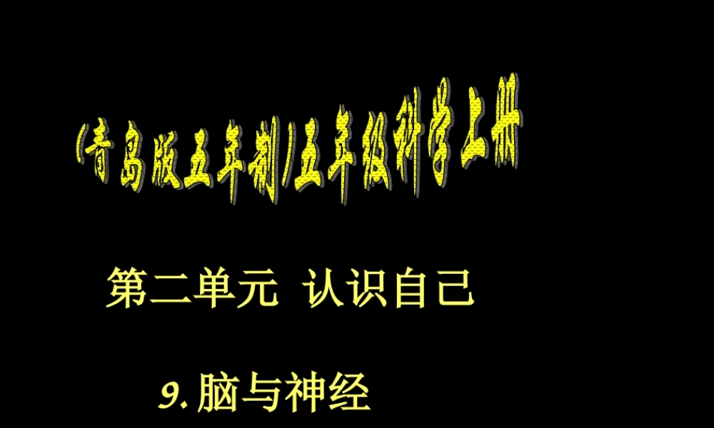 青岛小学科学五上《9 脑与神经》PPT课 件 (1) 【虚拟宝库网www.xunibaoku.com】.ppt