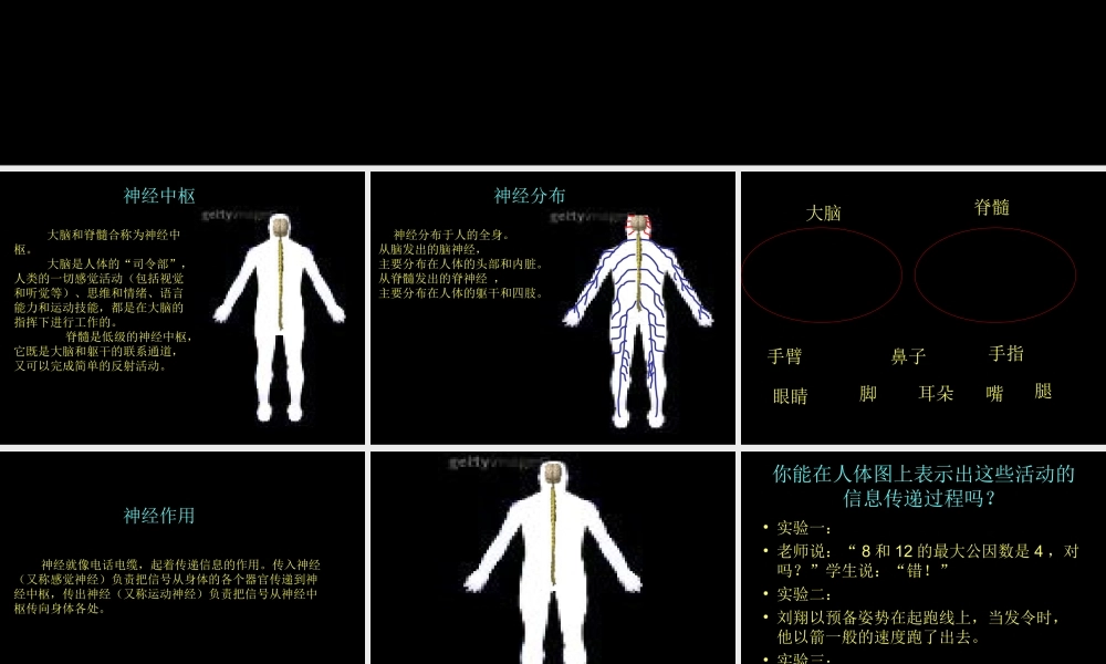 青岛小学科学五上《9 脑与神经》PPT课 件 (1) 【虚拟宝库网www.xunibaoku.com】.ppt