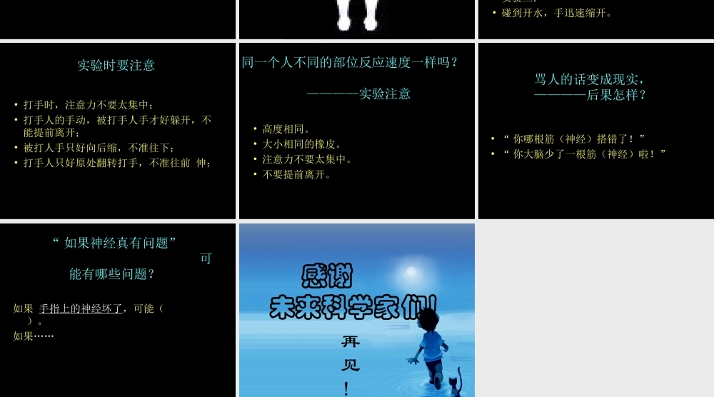 青岛小学科学五上《9 脑与神经》PPT课 件 (1) 【虚拟宝库网www.xunibaoku.com】.ppt