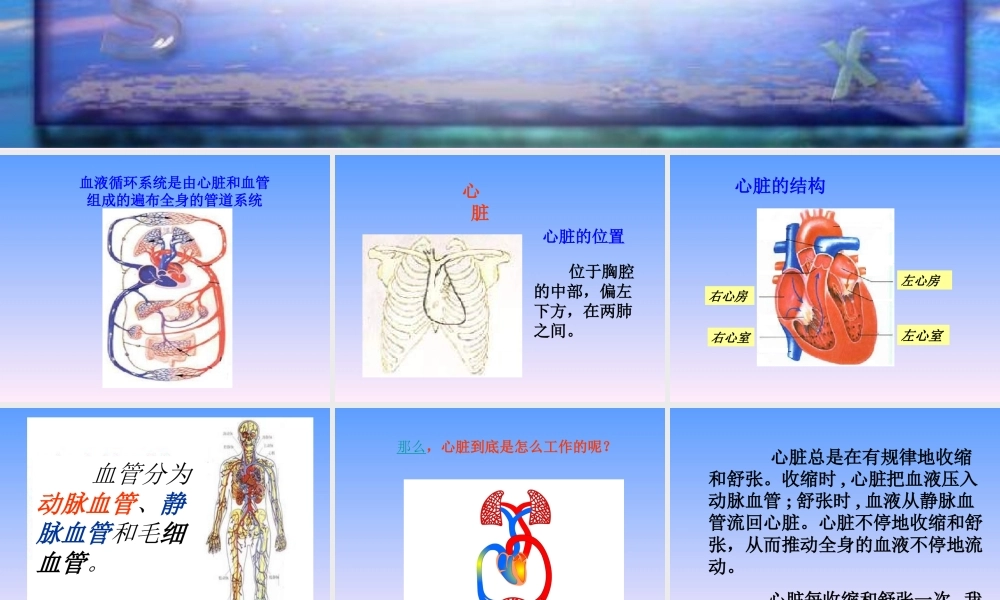青岛小学科学五上《8 心脏和血管》PPT课件 (2) 【虚拟宝库网www.xunibaoku.com】.ppt