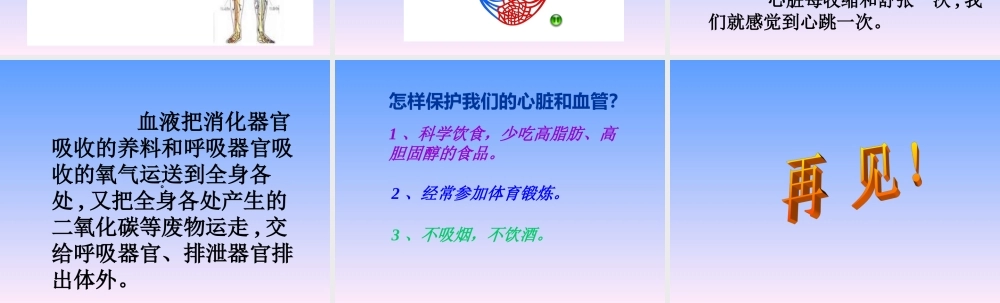 青岛小学科学五上《8 心脏和血管》PPT课件 (2) 【虚拟宝库网www.xunibaoku.com】.ppt