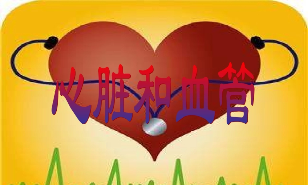 青岛小学科学五上《8 心脏和血管》PPT课件 (3) 【虚拟宝库网www.xunibaoku.com】.ppt