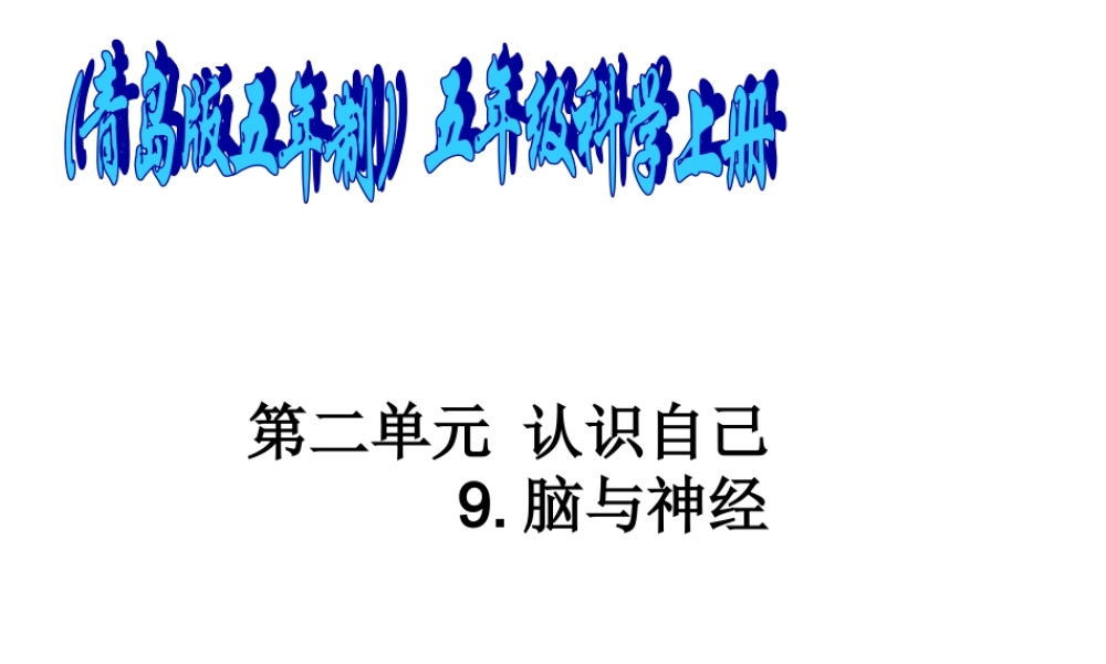 青岛小学科学五上《9 脑与神经》PPT课 件 (4) 【虚拟宝库网www.xunibaoku.com】.ppt