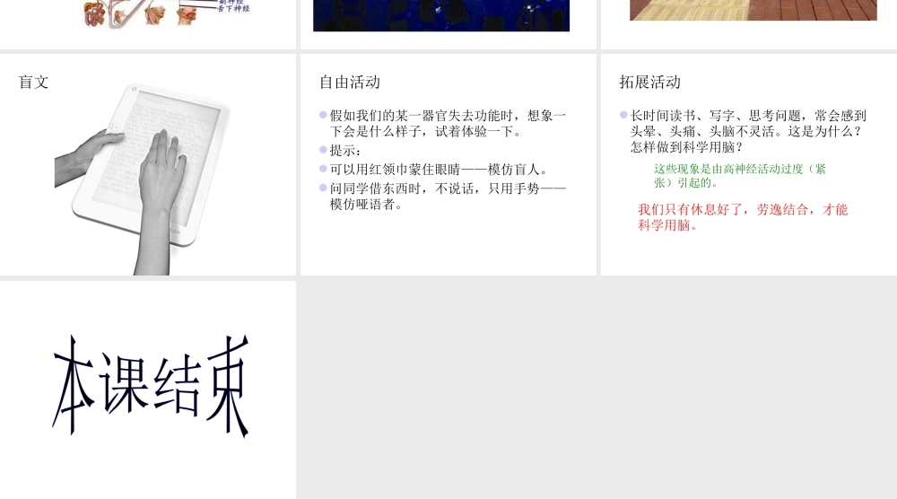 青岛小学科学五上《9 脑与神经》PPT课 件 (4) 【虚拟宝库网www.xunibaoku.com】.ppt