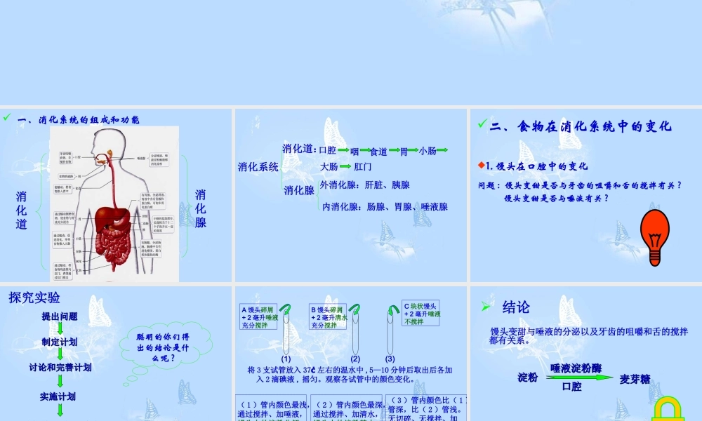 青岛小学科学五下《1.食物到哪里去了》PPT课件.ppt