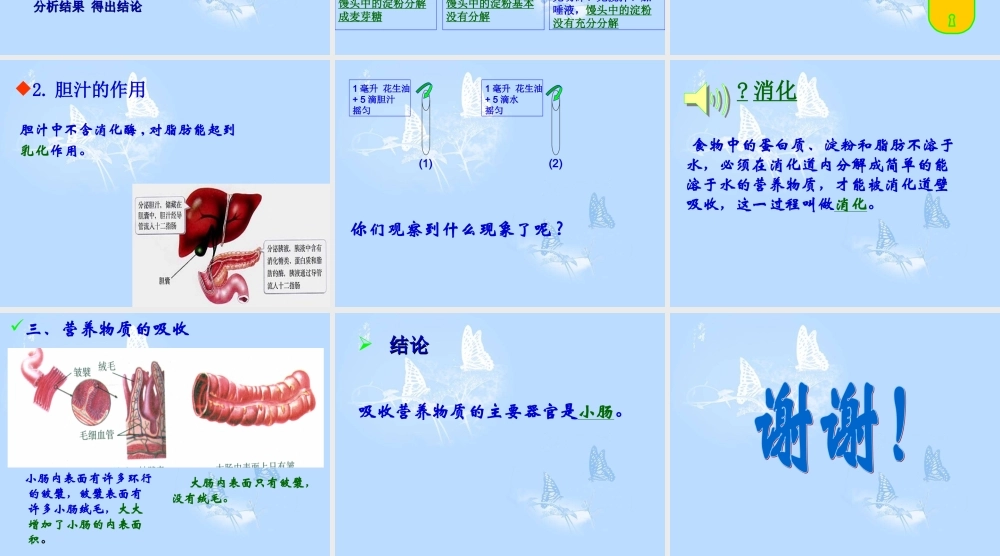 青岛小学科学五下《1.食物到哪里去了》PPT课件.ppt