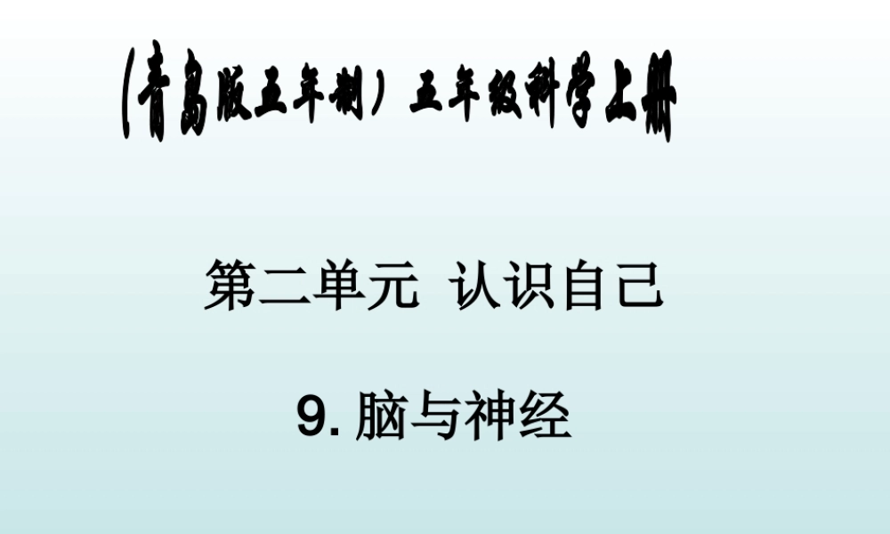 青岛小学科学五上《9 脑与神经》PPT课 件 (3) 【虚拟宝库网www.xunibaoku.com】.ppt