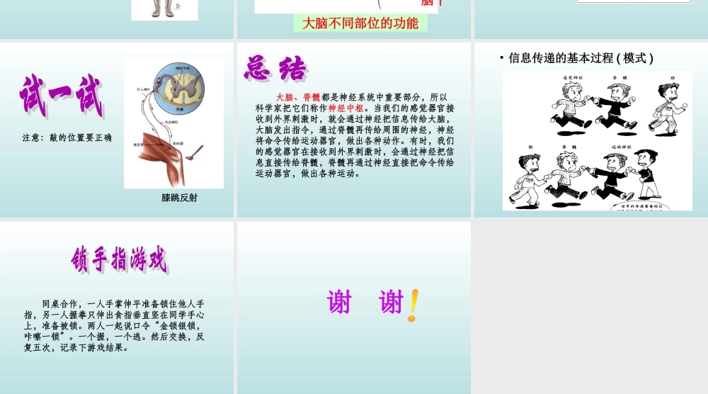 青岛小学科学五上《9 脑与神经》PPT课 件 (3) 【虚拟宝库网www.xunibaoku.com】.ppt