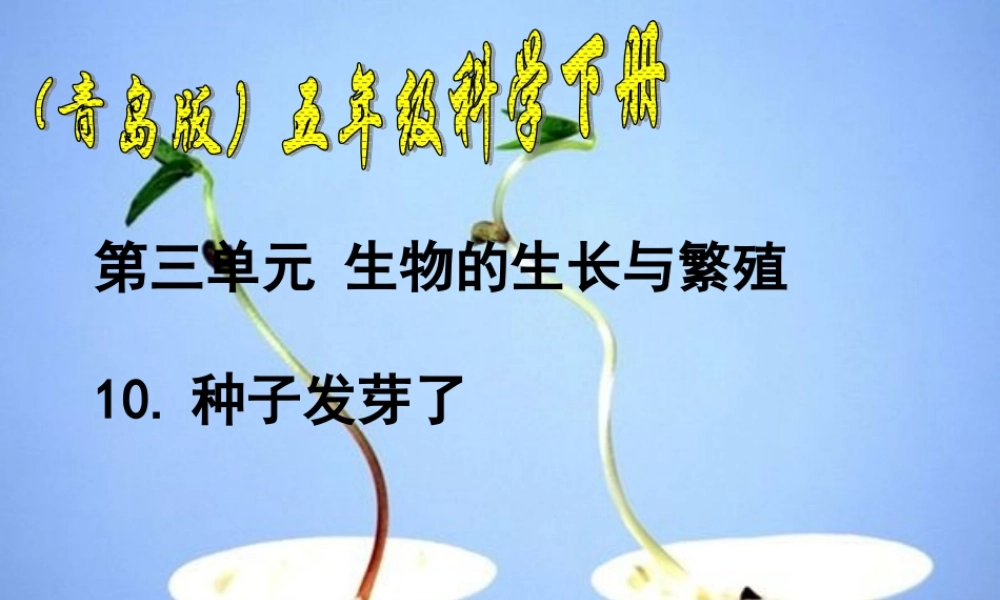 青岛小学科学五下《10.种子发芽了》PPT课件 (3) .ppt