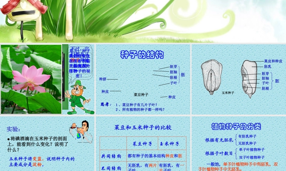 青岛小学科学五下《10.种子发芽了》PPT课件 (4) .ppt