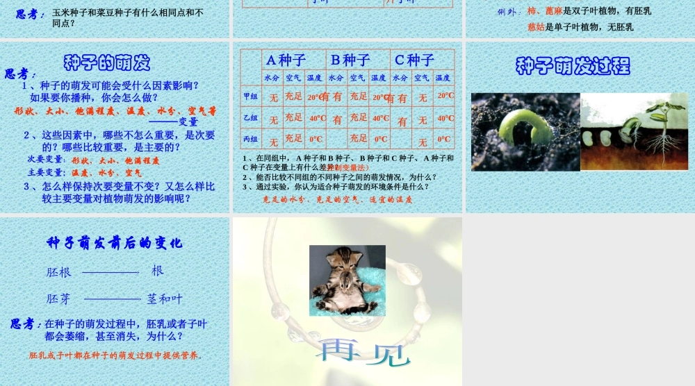 青岛小学科学五下《10.种子发芽了》PPT课件 (4) .ppt