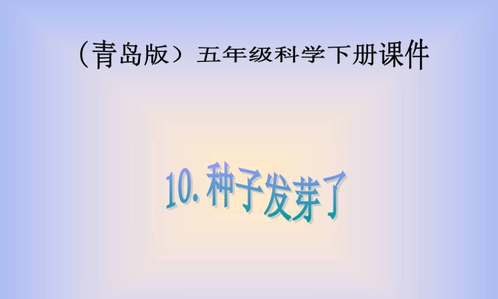 青岛小学科学五下《10.种子发芽了》PPT课件 (5) .ppt