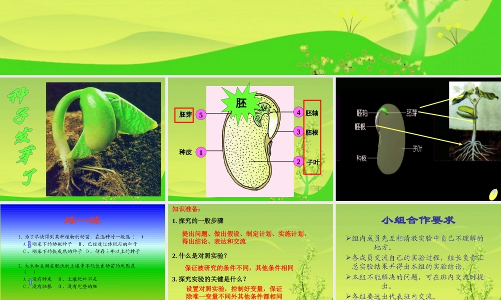 青岛小学科学五下《10.种子发芽了》PPT课件 (7) .ppt