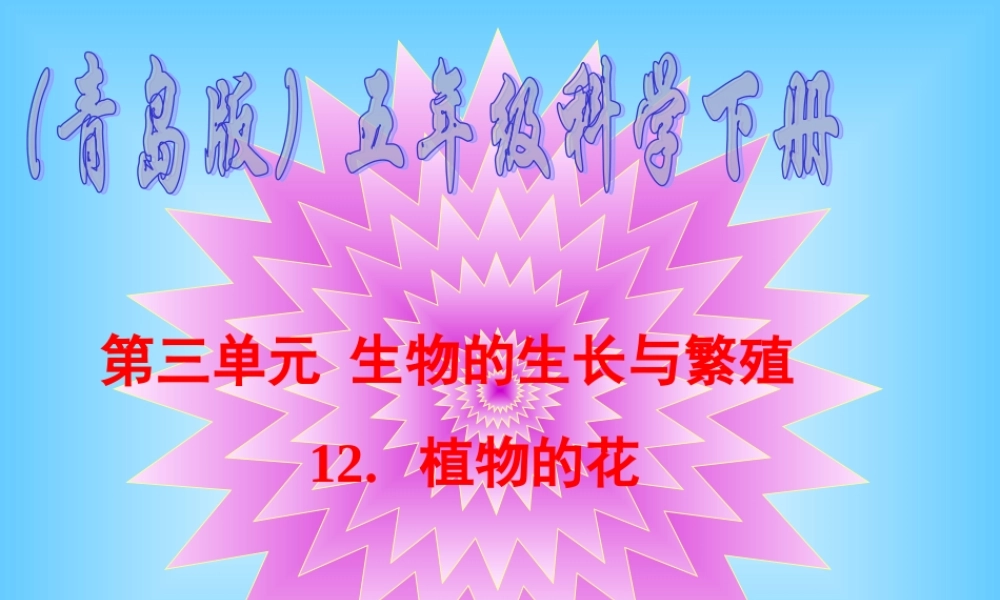 青岛小学科学五下《12.植物的花》PPT课件 (2) .ppt
