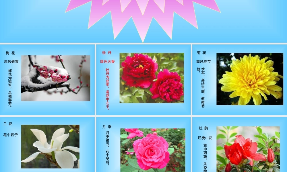 青岛小学科学五下《12.植物的花》PPT课件 (2) .ppt