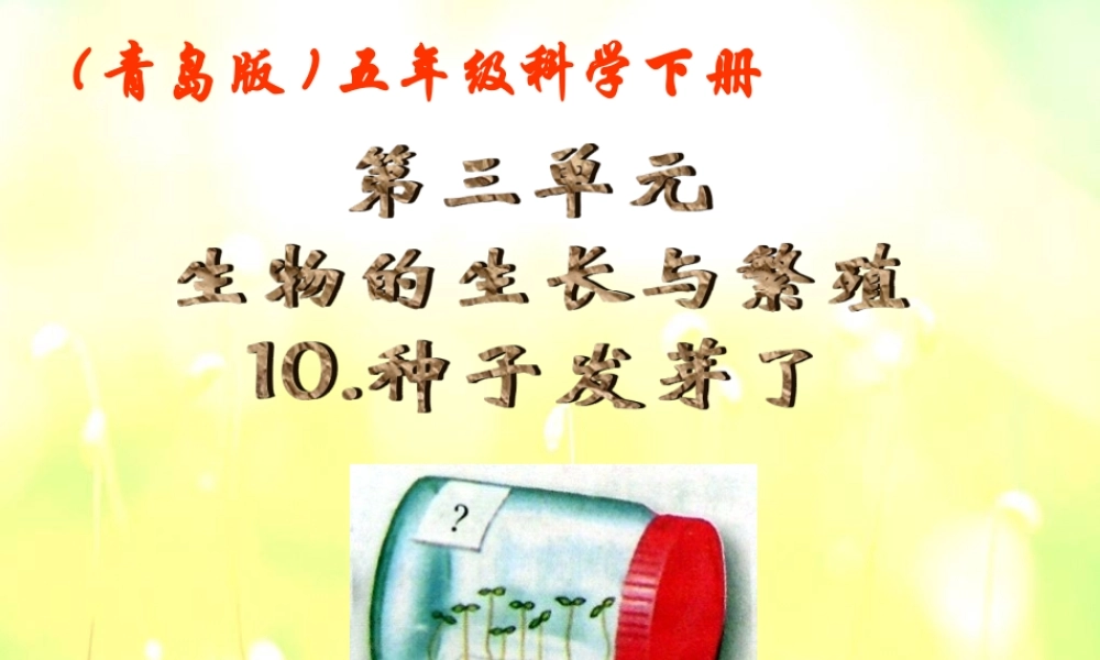 青岛小学科学五下《10.种子发芽了》PPT课件 (2) .ppt
