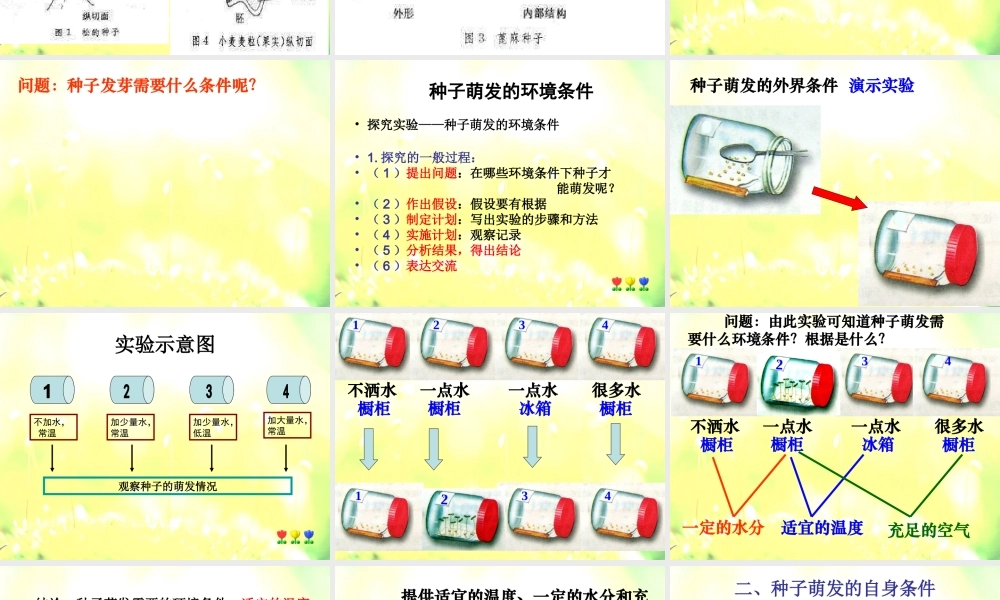 青岛小学科学五下《10.种子发芽了》PPT课件 (2) .ppt