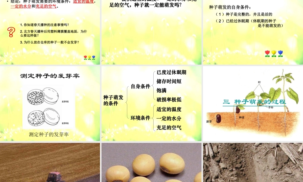 青岛小学科学五下《10.种子发芽了》PPT课件 (2) .ppt