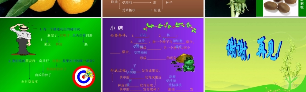 青岛小学科学五下《13.果实是怎样形成的》PPT课件.ppt