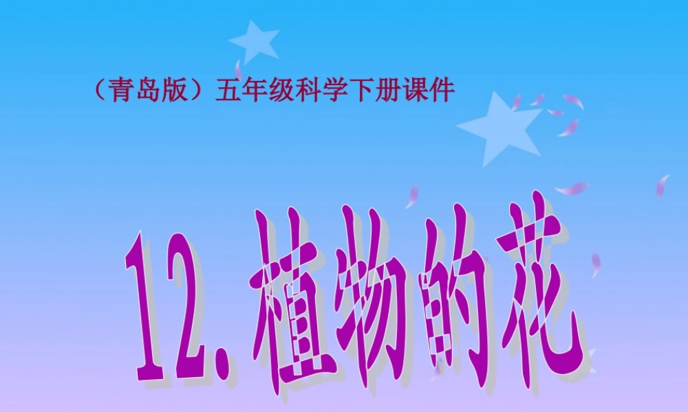 青岛小学科学五下《12.植物的花》PPT课件 (4) .ppt