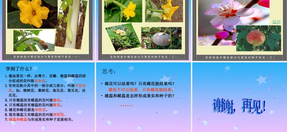 青岛小学科学五下《12.植物的花》PPT课件 (4) .ppt