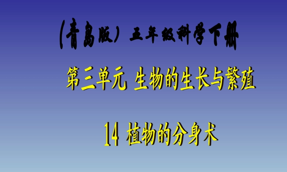 青岛小学科学五下《14.植物的“分身术”》PPT课件 (1) .ppt