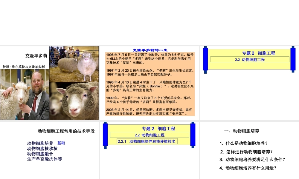 青岛小学科学五下《15.生物繁殖新技术》PPT课件 (2).ppt