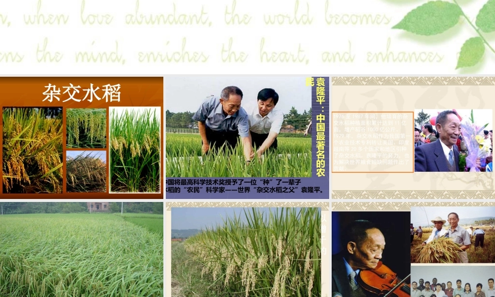 青岛小学科学五下《15.生物繁殖新技术》PPT课件 (1).ppt