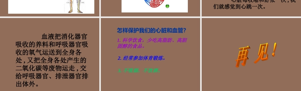 青岛小学科学五下《3.心脏和血管》PPT课件 (3) .ppt