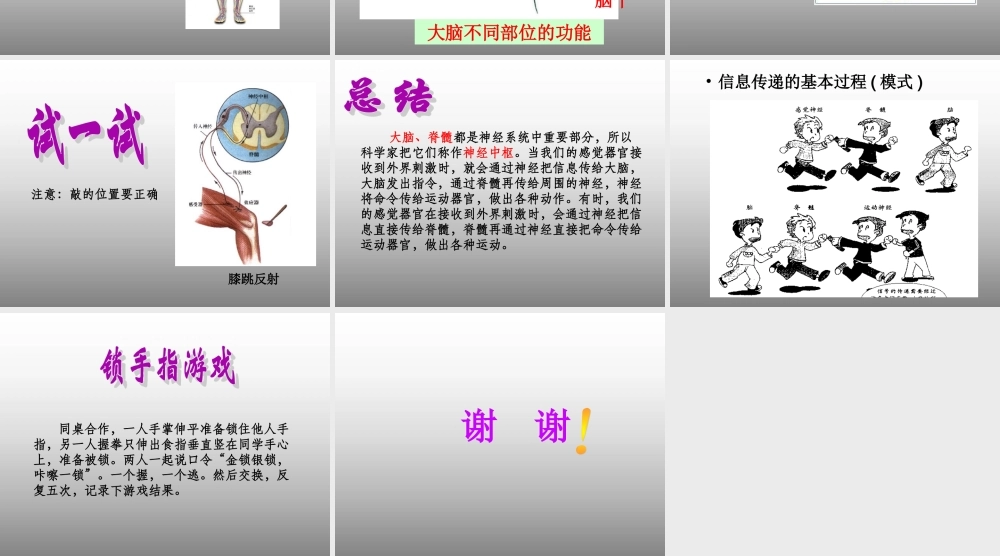 青岛小学科学五下《4.脑与神经》PPT课件 (2) .ppt