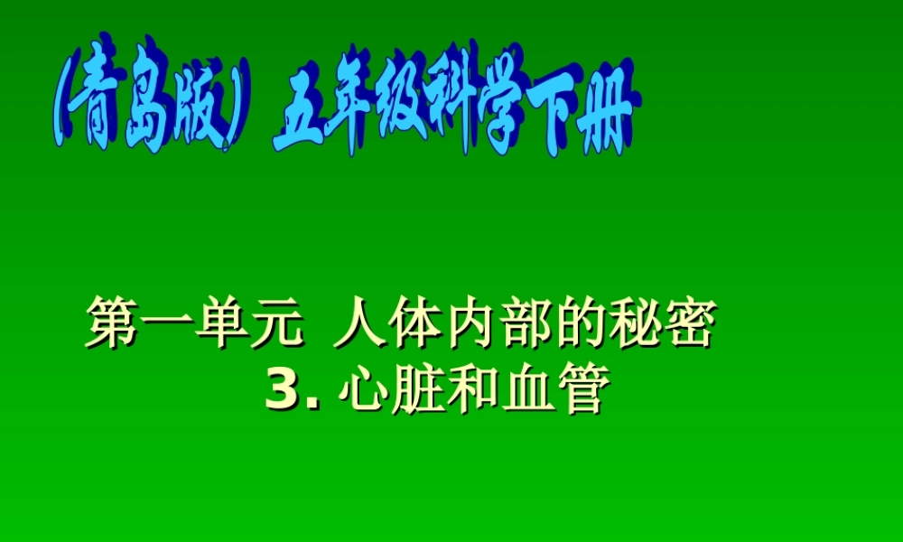 青岛小学科学五下《3.心脏和血管》PPT课件 (1) .ppt
