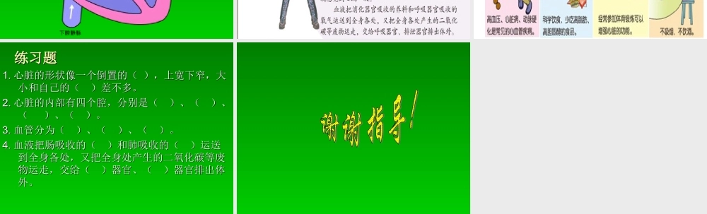 青岛小学科学五下《3.心脏和血管》PPT课件 (1) .ppt