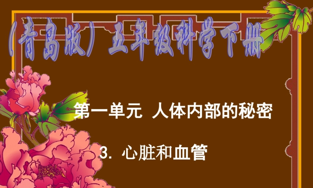 青岛小学科学五下《3.心脏和血管》PPT课件 (2) .ppt