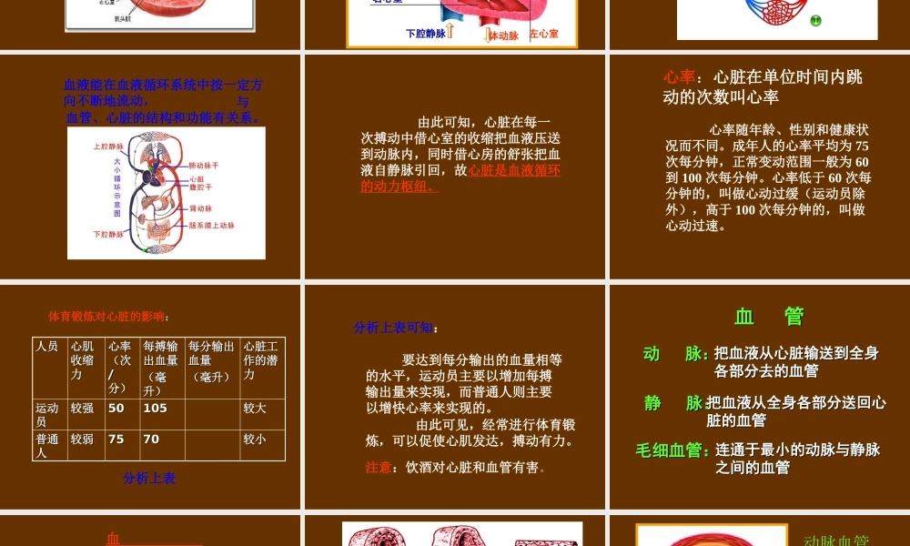 青岛小学科学五下《3.心脏和血管》PPT课件 (2) .ppt