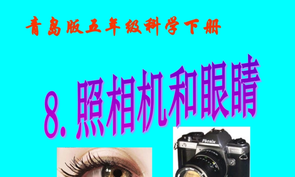 青岛小学科学五下《6.照相机和眼睛》PPT课件 (3) .ppt