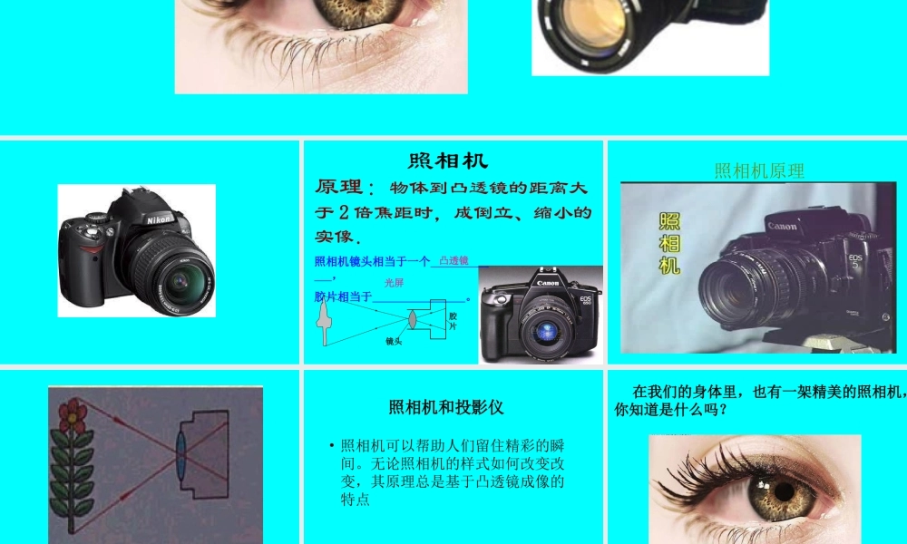 青岛小学科学五下《6.照相机和眼睛》PPT课件 (3) .ppt