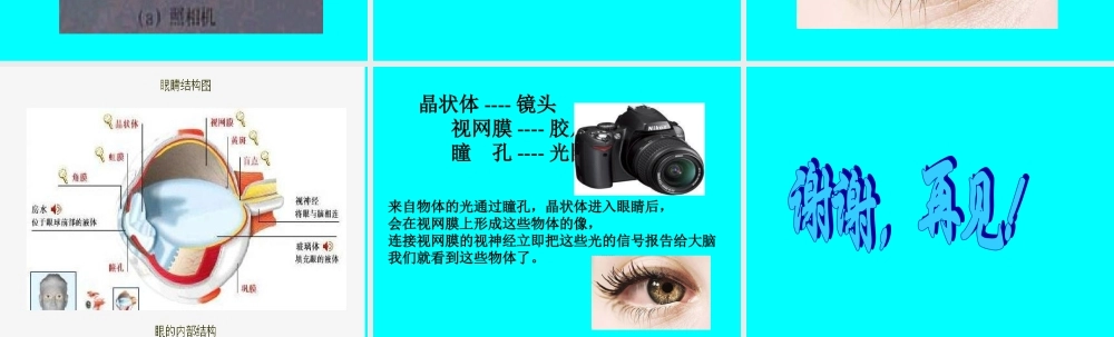青岛小学科学五下《6.照相机和眼睛》PPT课件 (3) .ppt
