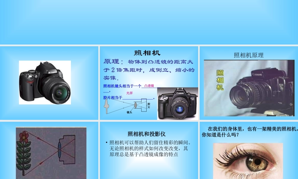 青岛小学科学五下《6.照相机和眼睛》PPT课件 (4) .ppt