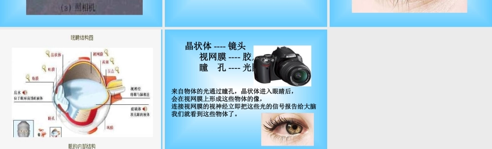 青岛小学科学五下《6.照相机和眼睛》PPT课件 (4) .ppt