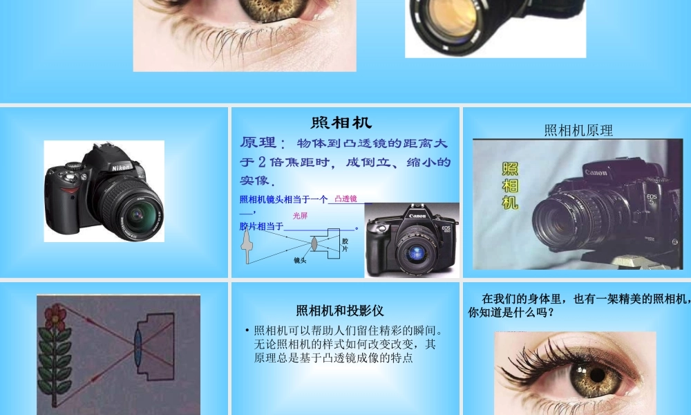 青岛小学科学五下《6.照相机和眼睛》PPT课件 (2) .ppt