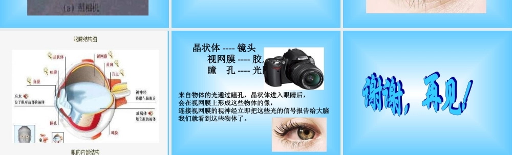 青岛小学科学五下《6.照相机和眼睛》PPT课件 (2) .ppt