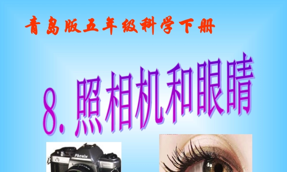 青岛小学科学五下《6.照相机和眼睛》PPT课件 (1) .ppt