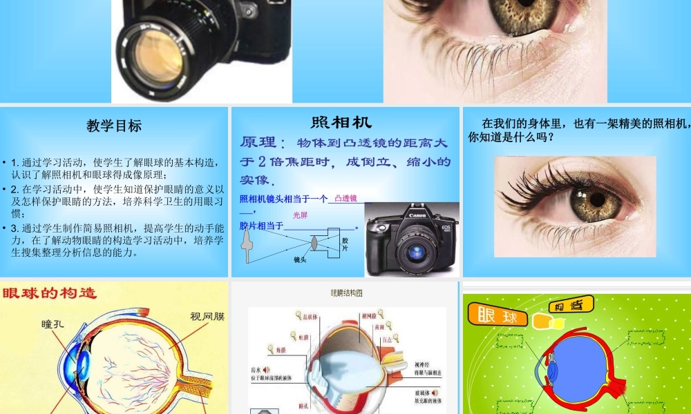 青岛小学科学五下《6.照相机和眼睛》PPT课件 (1) .ppt